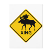 Moose Crossing Highway Sign Post Card