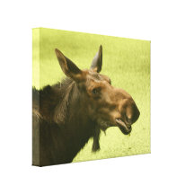 Moose Did Someone Say Cake Canvas Print