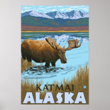 Moose Drinking at Lake - Katmai, Alaska Posters