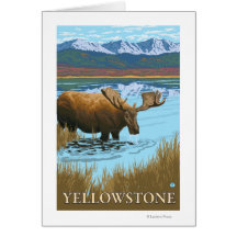 Moose Drinking at Lake - Yellowstone National Greeting Card