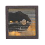 Moose & Fall Reflections Premium Gift Box