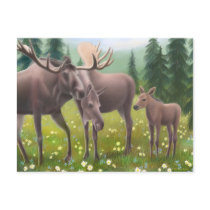 Moose Family Postcard by twopurringcats Moose Family Postcard
