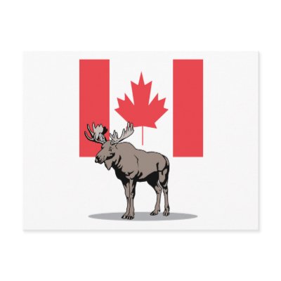 Moose Flag