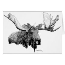 Moose Greeting Cards