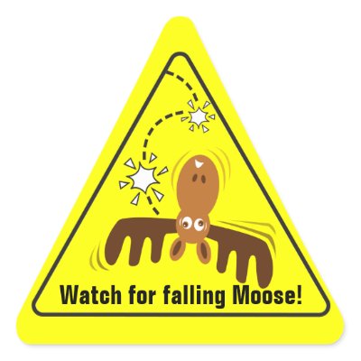 http://rlv.zcache.com/moose_head_road_sign_watch_for_falling_moose_sticker-p217809437636399322b7443_400.jpg