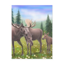 Moose in a Northern Forest Postcard by twopurringcats Moose in a Northern Forest Postcard