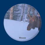 Moose in BC Magnet magnets