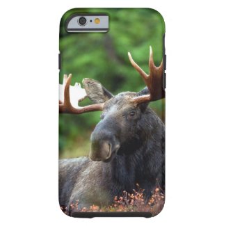 Moose iPhone 6 Case