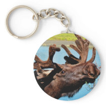 Moose Keychain