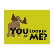 Moose Looks postcards
