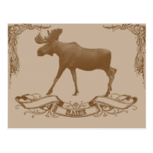 moose maine post cards