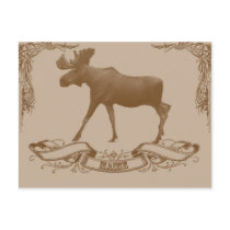 moose maine postcards by stephaniegreene1 moose maine postcards