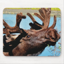 Moose Mouse Pad