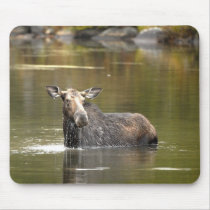 Moose mouse pad mousepads by indigocreations Moose mouse pad mousepads