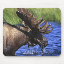 Moose mousepads by animalworld Moose mousepads