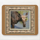 Moose