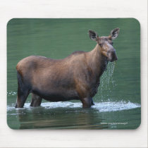 Moose mousepads by WorldDesign Moose mousepads