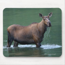 Moose mousepads by WorldDesign Moose mousepads