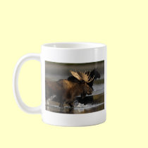 Moose mugs