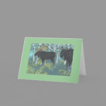 moose note cards