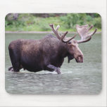 Moose on a Mission Mouse Pads