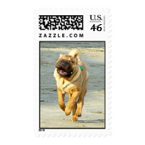 Moose On The Loose Postage Stamp