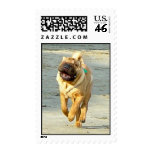 Moose On The Loose postage