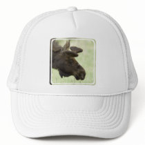 Moose Photo Baseball Hat 