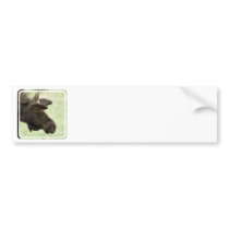 Moose Photo Bumper Sticker