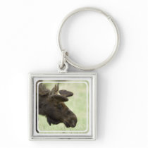 Moose Photo Keychain