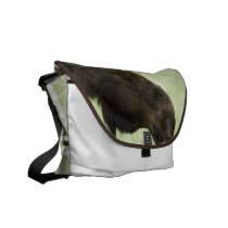 Moose Photo Messenger Bag