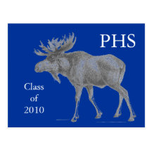 Moose Post Card
