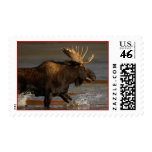 moose stamps