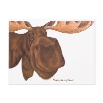 moose postcards by thrillpictures moose postcards