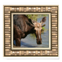 Moose Print