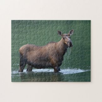 moose puzzle