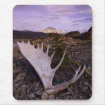 Moose Rack on the Alsek River mousepads