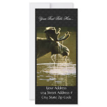 Moose Rack Card Design