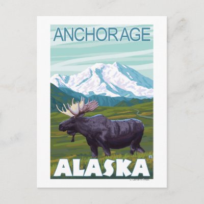 Moose Scene - Anchorage, Alaska Postcards