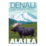 Moose Scene - Denali National Park, Alaska Poster