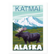 Moose Scene - Katmai, Alaska Postcard