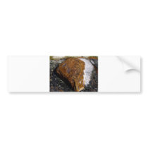 moose sculpt painting bumper stickers
