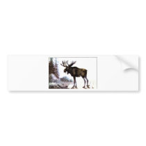 Moose Shirts and Gifts 111 bumper stickers by mooseshirt Moose Shirts and Gifts 111 bumper stickers