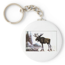 Moose Shirts and Gifts 111 Key Chains