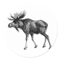 Moose Shirts and Gifts 112 stickers by mooseshirt Moose Shirts and Gifts 112 stickers