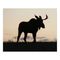 moose silouette posters by sinisterplanner moose silouette posters