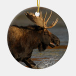 moose splash christmas tree ornament