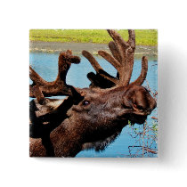 Moose Square Pin