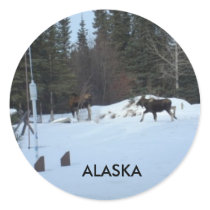 Moose stickers by Slanamoose Moose stickers