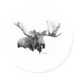 Moose Round Sticker